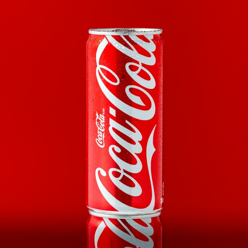 Coca-Cola Kutu 330 ml 24'lü